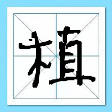 ֲ-