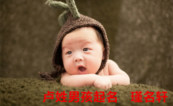 卢姓男孩起名 瑾名轩起名网 卢姓男孩起名 瑾名轩起名网