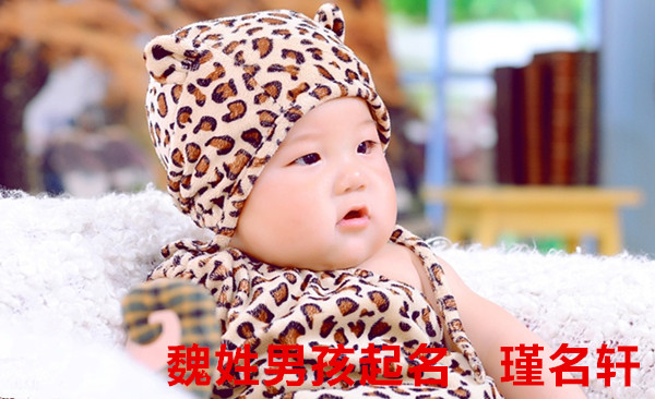 魏姓男孩起名 瑾名轩起名网 魏姓男孩起名 瑾名轩起名网