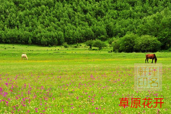 乙木生于辰月 瑾名轩起名网