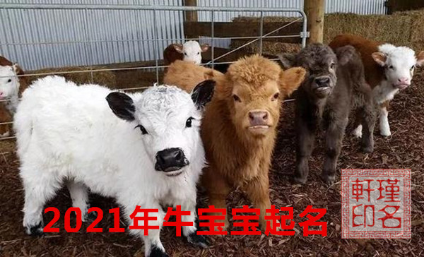2021ţ-